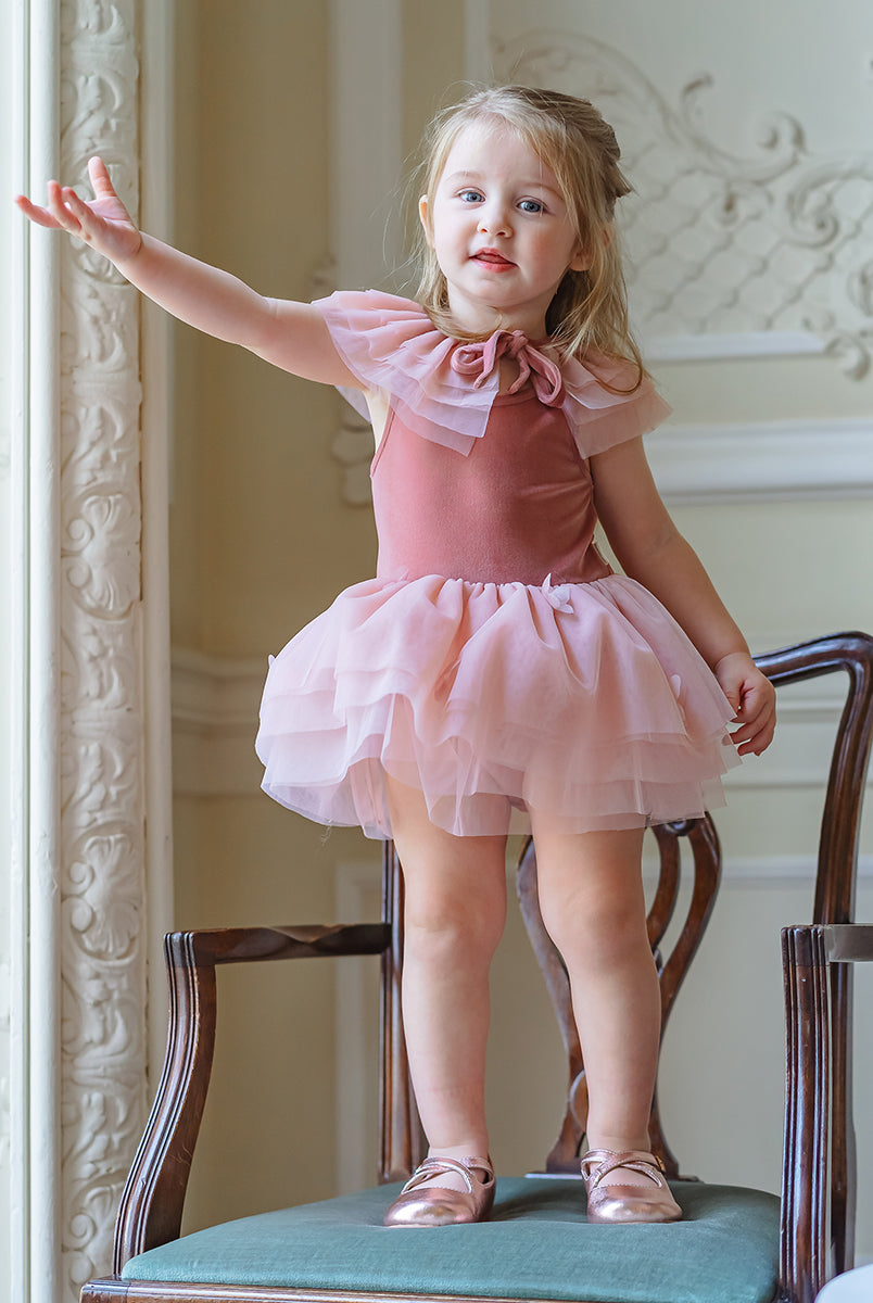 Whitby Tulle Dress & Collar Set, Velvet Pink – view 3